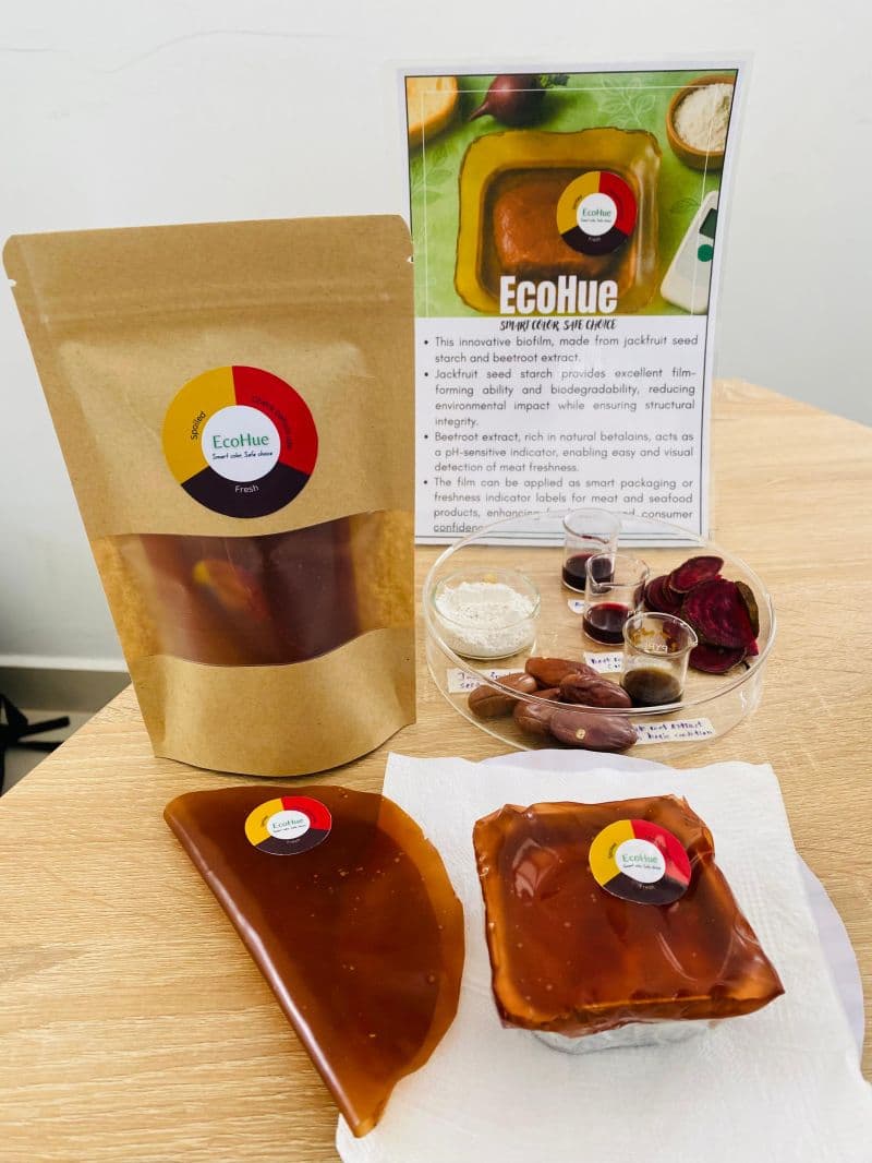 EcoHue - Individual Product Development