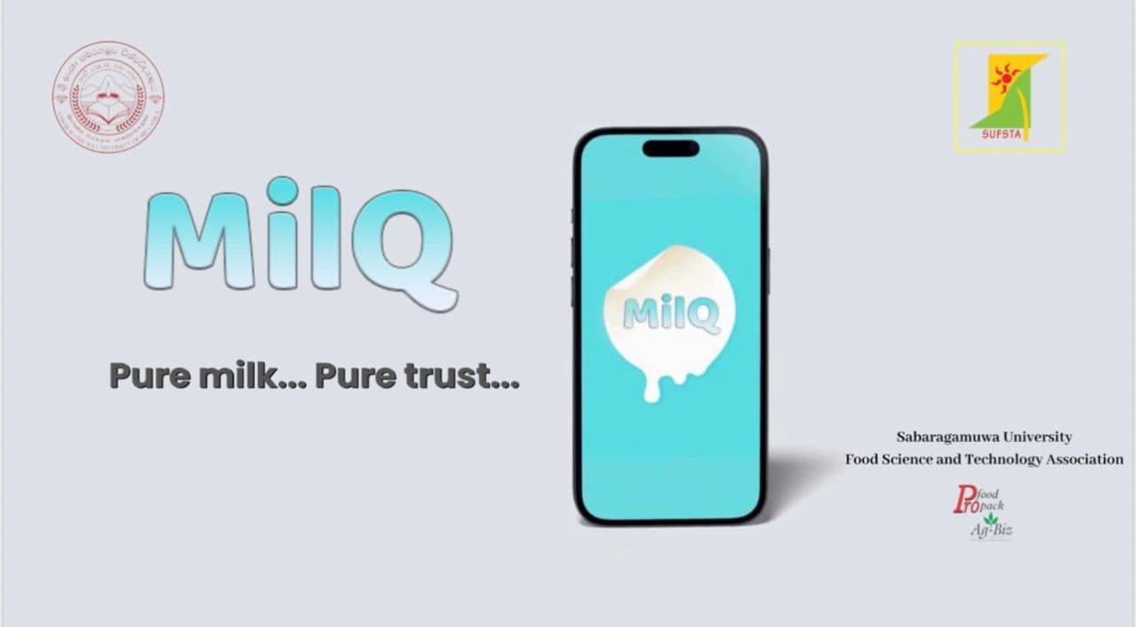 MILQ - Group Project